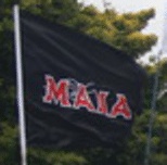 [Maori Party flag]